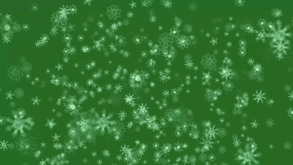 Big Snow Flakes Falling